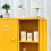 Metal Console Cabinet