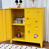 Metal Console Cabinet