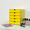 5-drawer Vertical Storage Cabinet
