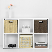 Cold Rolled Steel 6‑Cube Open Storage Cabinet